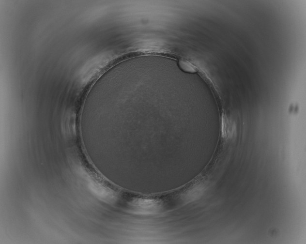 X0000111220205200907021343