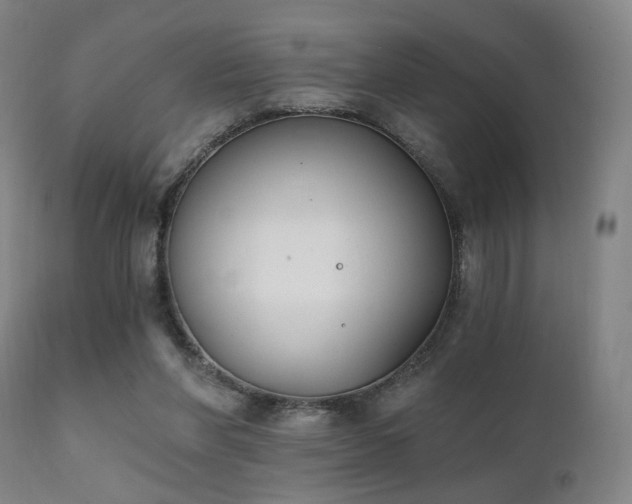 X0000111220206200907021343