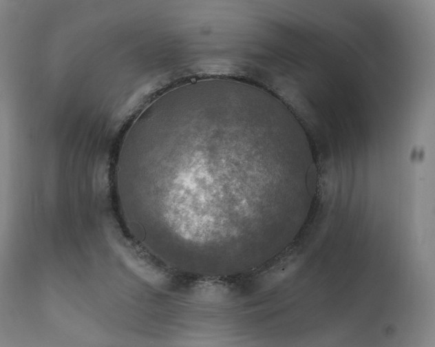 X0000111220207200907021343