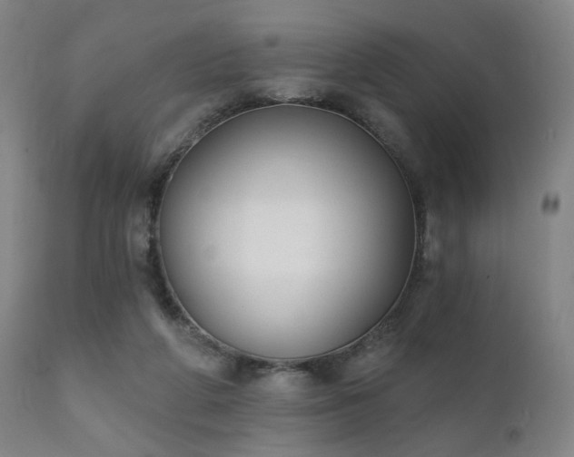 X0000111220210200907021343