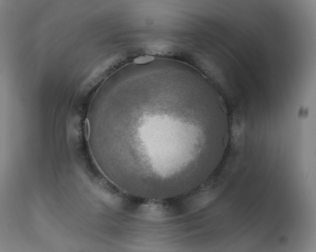 X0000111220211200907021343