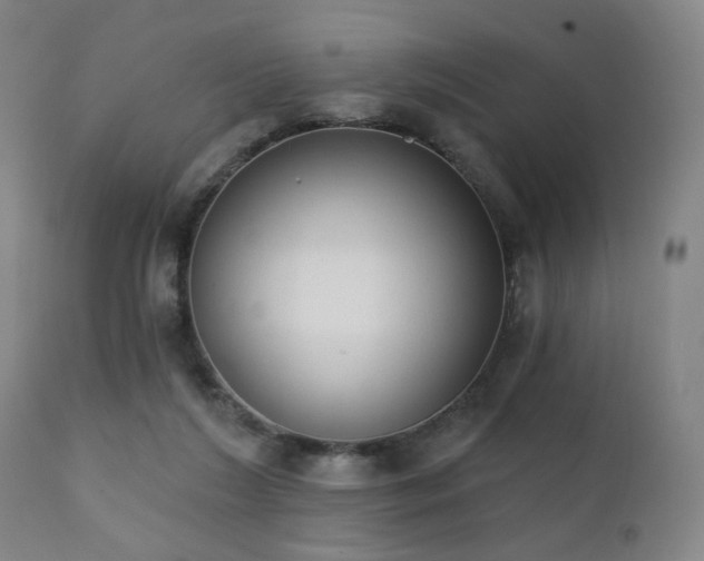 X0000111220212200907021343