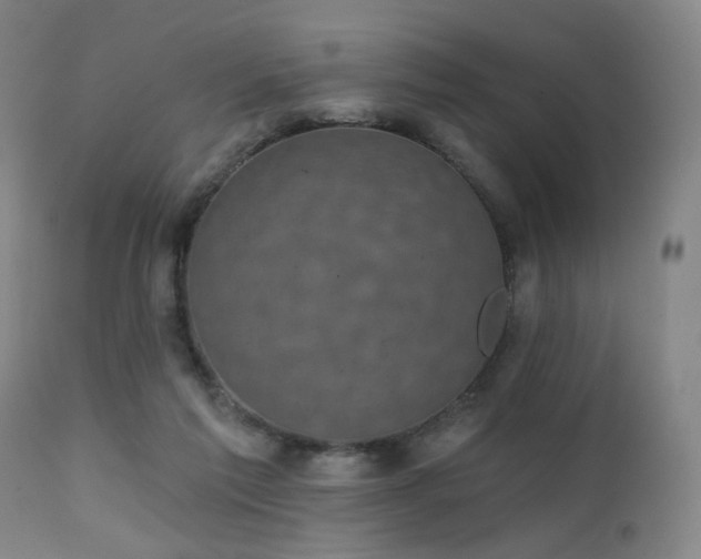 X0000111220213200907021343