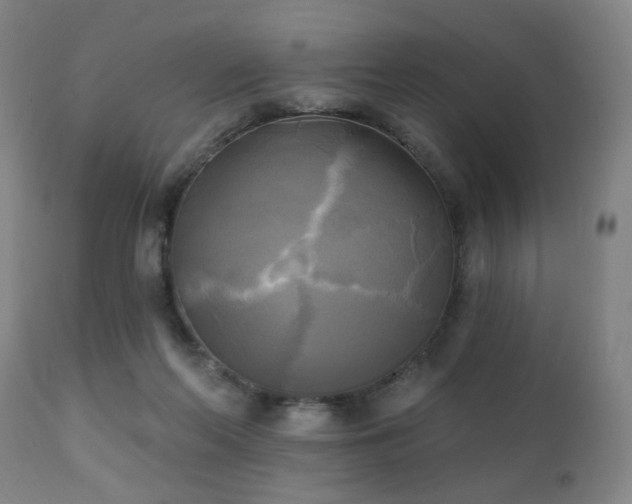 X0000111220214200907021343
