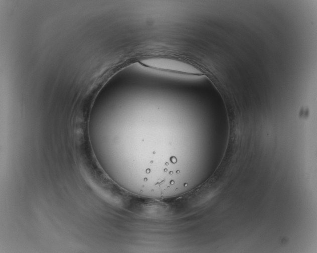 X0000111220215200907021343