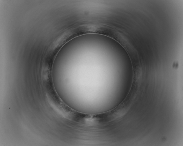 X0000111220216200907021343