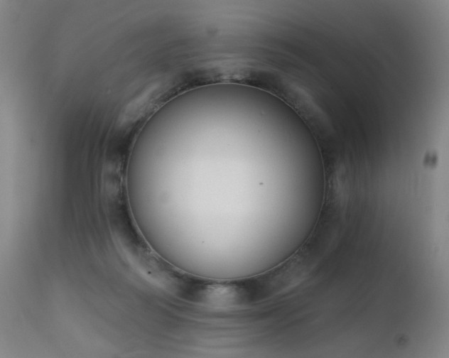 X0000111220218200907021343