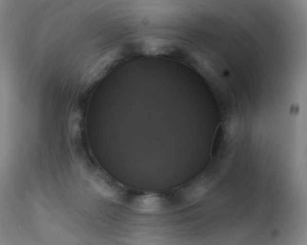 X0000111220219200907021343