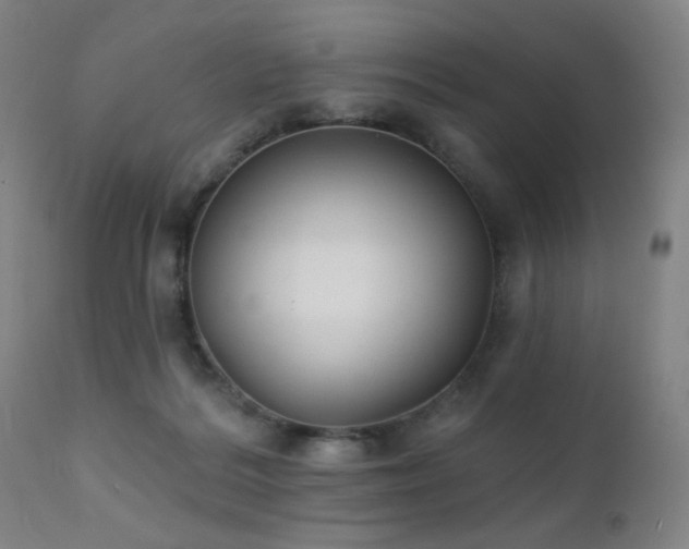 X0000111220220200907021343