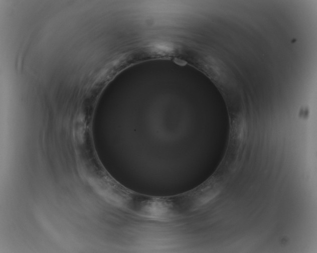 X0000111220223200907021343