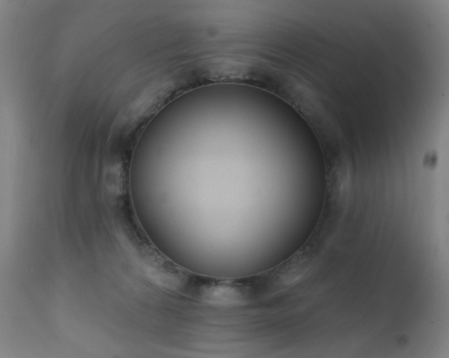 X0000111220224200907021343