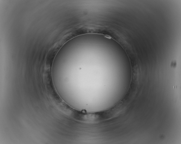 X0000111220225200907021343