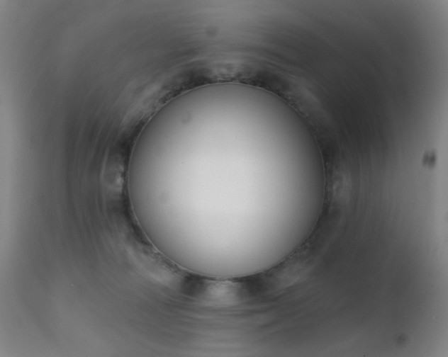 X0000111220226200907021343