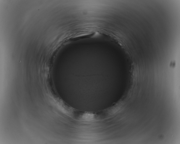 X0000111220227200907021343