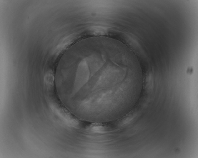 X0000111220228200907021343