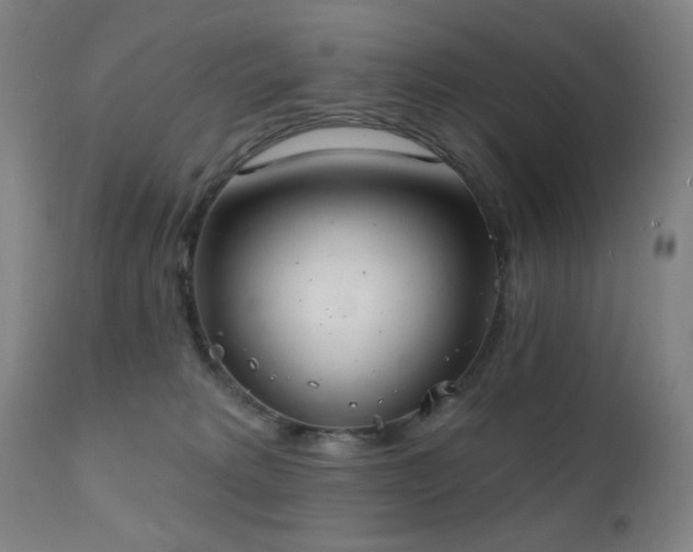 X0000111220229200907021343