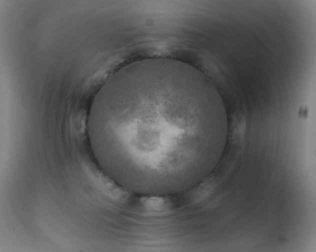 X0000111220230200907021343