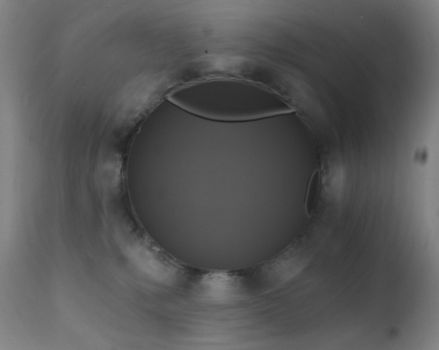 X0000111220231200907021343