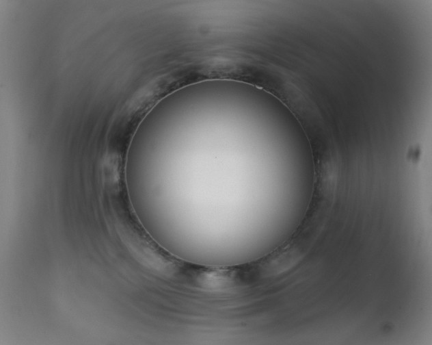 X0000111220232200907021343