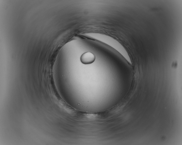 X0000111220233200907021343