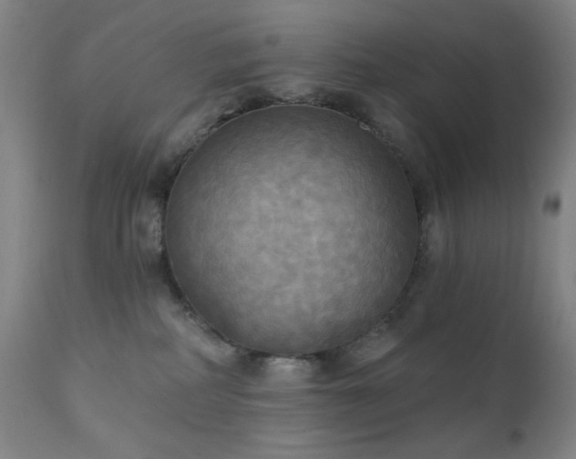 X0000111220234200907021343
