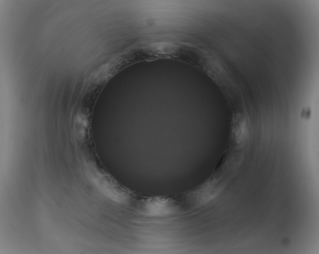 X0000111220235200907021343