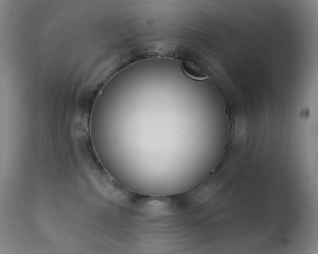 X0000111220236200907021343