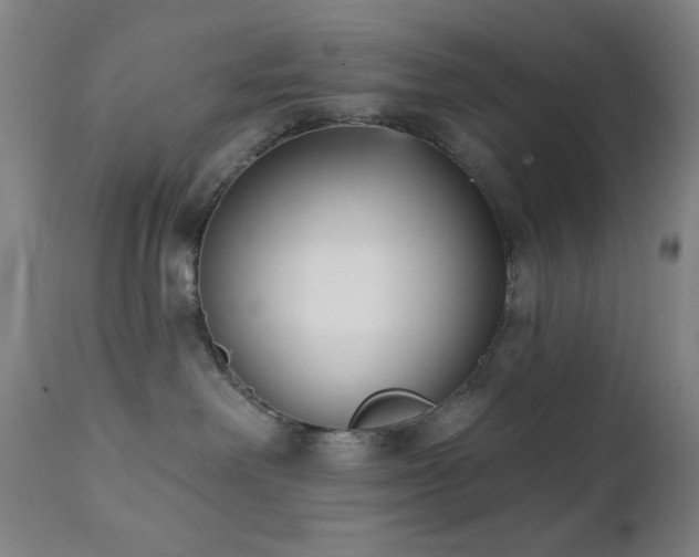 X0000111220238200907021343