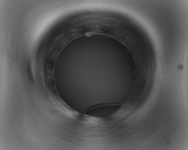 X0000111220239200907021343