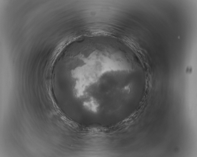 X0000111220241200907021342