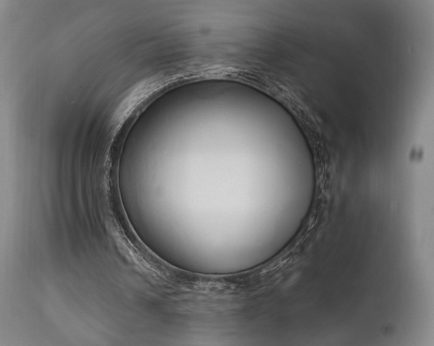 X0000111220242200907021342