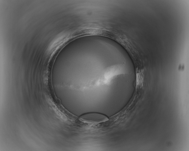 X0000111220243200907021342