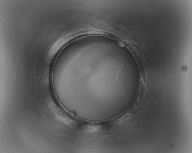 X0000111220247200907021342