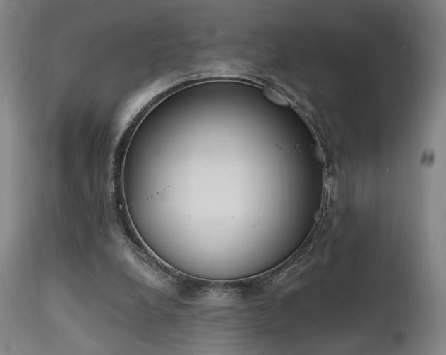 X0000111220248200907021342