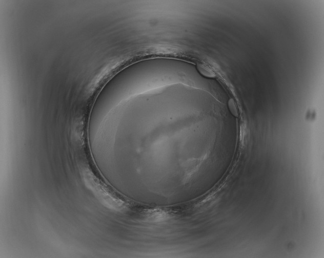 X0000111220249200907021342