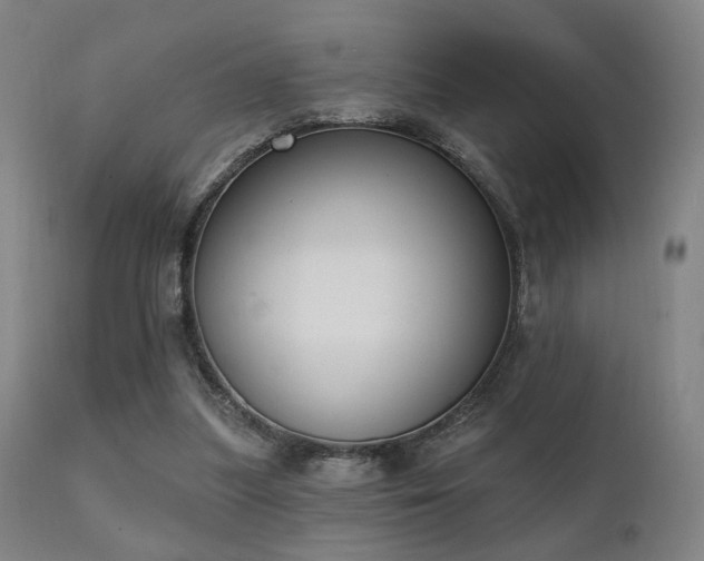 X0000111220251200907021342