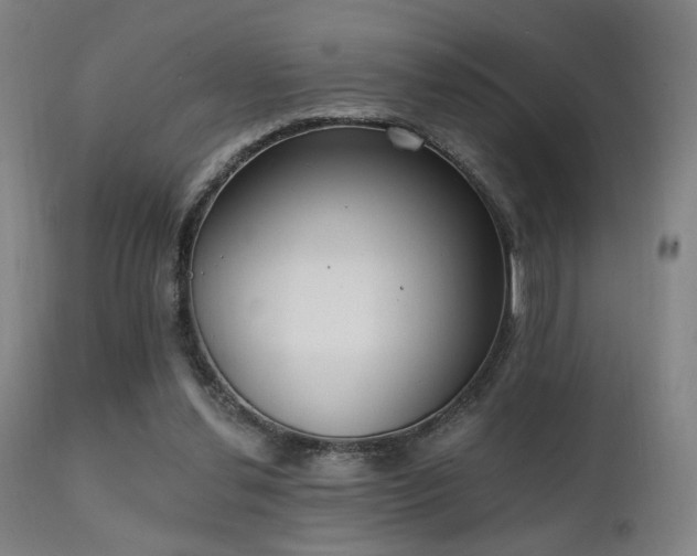 X0000111220252200907021342