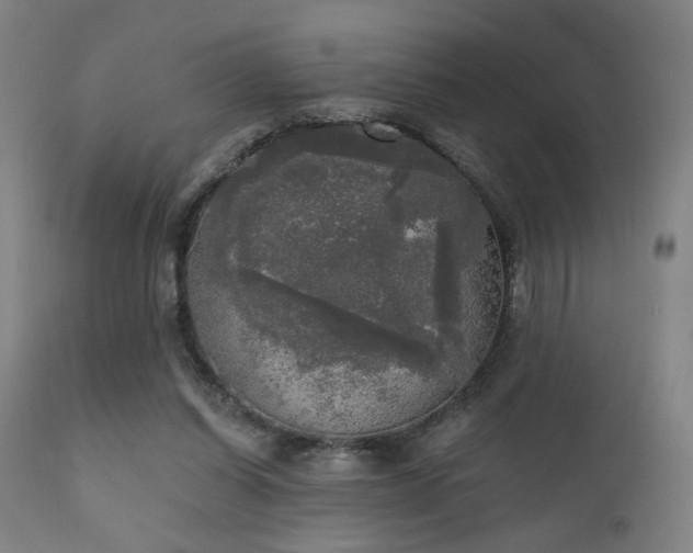 X0000111220254200907021342