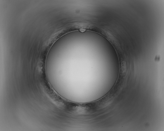 X0000111220255200907021342