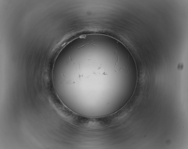 X0000111220256200907021342