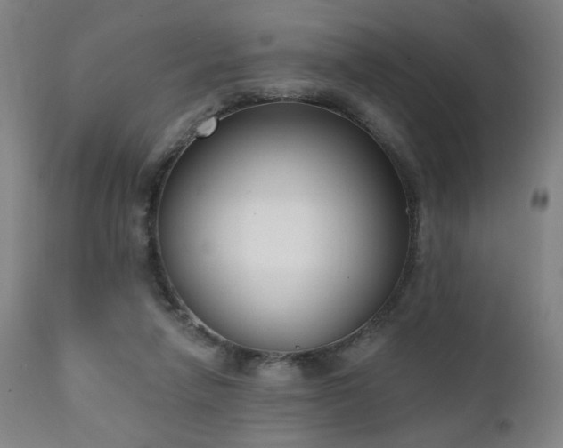 X0000111220258200907021342
