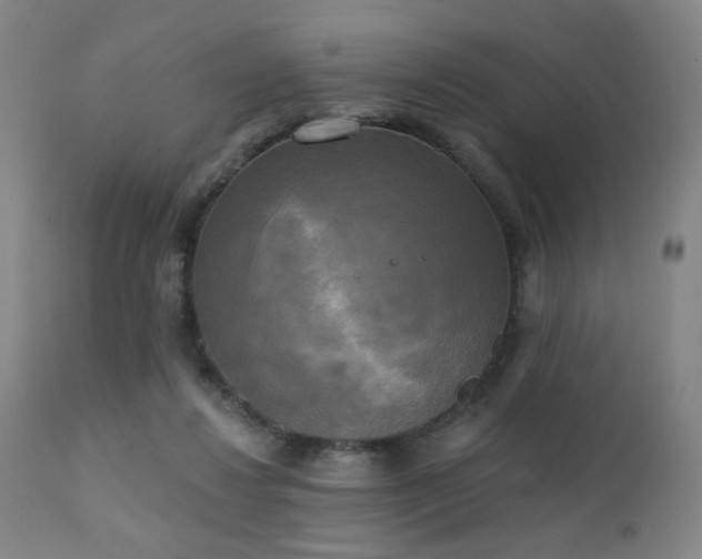 X0000111220260200907021342