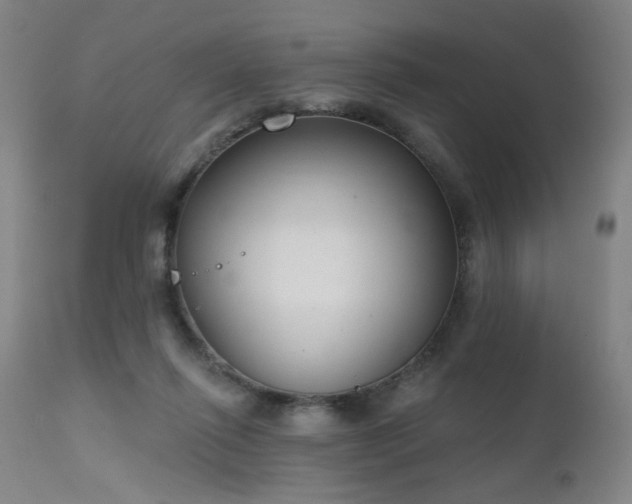 X0000111220262200907021342