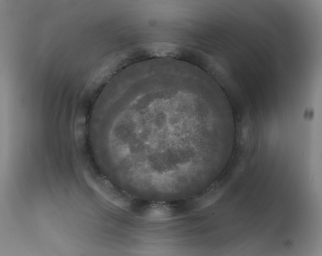 X0000111220263200907021342