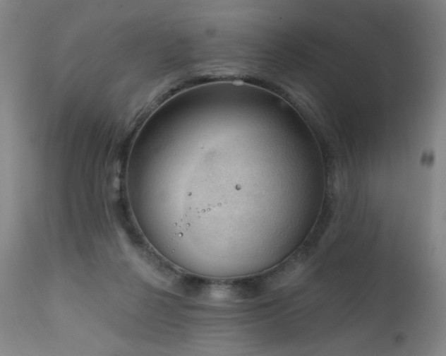 X0000111220264200907021342