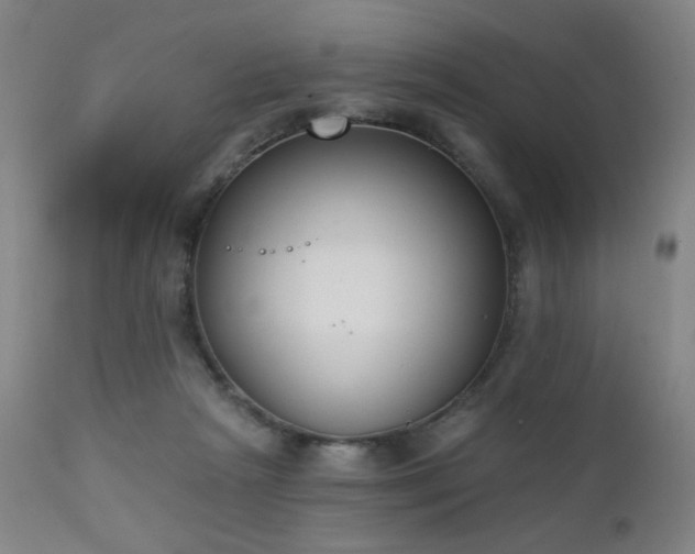 X0000111220265200907021342