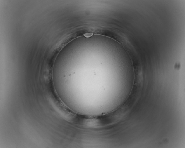 X0000111220266200907021342