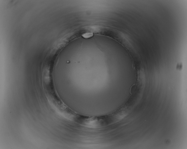 X0000111220267200907021342