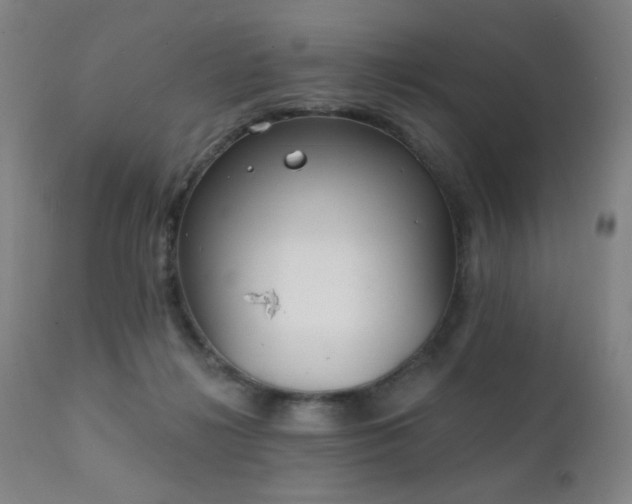 X0000111220268200907021342