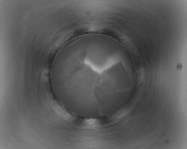 X0000111220269200907021342